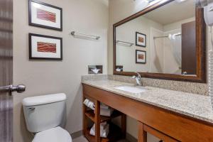 a bathroom with a toilet and a sink and a mirror at Comfort Inn Near Old Town Pasadena in Eagle Rock in Los Angeles