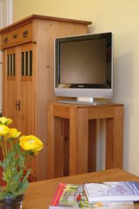 einen TV auf einem Holztisch in der Unterkunft Villa Am Park in Erfurt