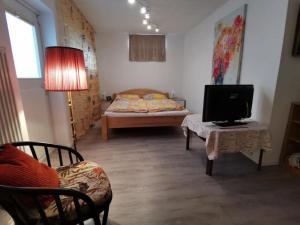 een woonkamer met een bed en een televisie bij Ferienhaus Lavendel für 1-4 Personen in Überlingen