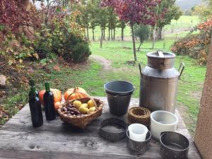 a picnic table with a basket of fruit and a drink at Las Lucías, experiencias de ecoturismo in Navatrasierra