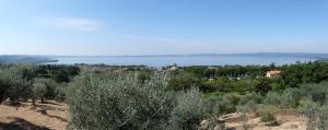 a view of a lake from a hill with trees at Agriturismo Antica Cassia in Bolsena