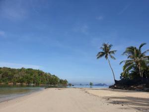 uma praia com duas palmeiras e o oceano em Sino Siam Hotel em Klong Muang Beach