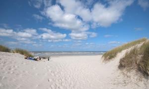 um banco sentado numa praia de areia perto do oceano em AMELAND-Nes-Duinoord: Stacaravan (chalet) + fietsen direct aan zee! em Nes