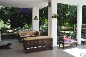 Foto dalla galleria di San Simon Hotel a Çıralı Altre 42 foto