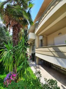 a building with a palm tree next to a sidewalk at Stella Apartments in Gevgelija