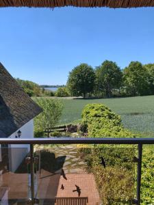 een uitzicht op een veld vanaf het balkon van een huis bij Pension Petersen in Bergen auf Rügen