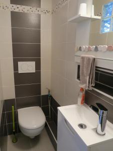 een badkamer met een toilet en een wastafel bij Les Collinades de Chalons in Châlons-en-Champagne