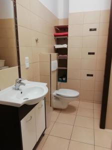 łazienka z umywalką i toaletą w obiekcie APARTAMENT W CENTRUM OLESNA w mieście Olesno