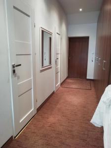 pusty korytarz z drzwiami i lustrem w obiekcie APARTAMENT W CENTRUM OLESNA w mieście Olesno