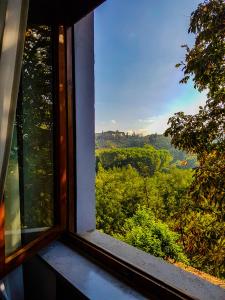 Příroda nedaleko apartmánu + 3 fotografie
