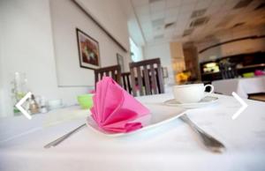 a plate with a pink napkin and a cup on a table at Drava Osijek in Osijek