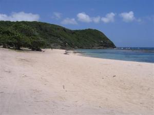 a sandy beach with trees and the ocean at Alpinia in Petit-Canal