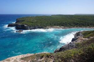 a view of the ocean from the cliffs of a beach at Alpinia in Petit-Canal