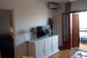 TV a/nebo společenská místnost v ubytování Apartment with private balcony