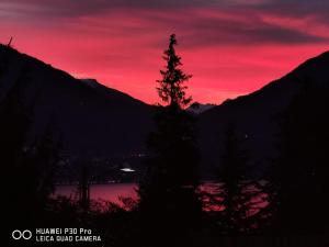 a red sky with a tree in front of a lake at Akuaduulza B&B Como Lake in San Siro