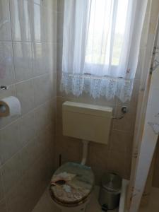a small bathroom with a toilet with a window at Apartma Gorca Plevnik in Buče
