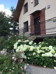 Imagen de la galería de Pokoje goscinne na Wodnej, en Lidzbark