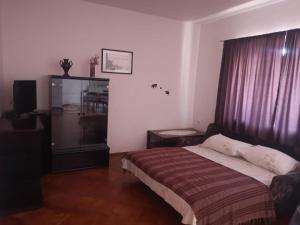 博紮瓦的住宿－Apartments Jerić，一间卧室设有一张床、一台电视和一个窗口。