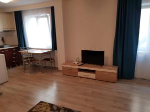Μια τηλεόραση ή/και κέντρο ψυχαγωγίας στο Apartament 2 Central