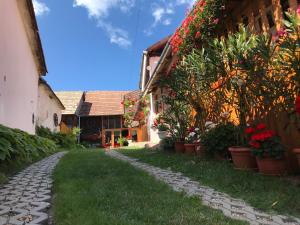 a cobblestone path in front of a house with flowers at Casa Kelemen Irén in Rimetea
