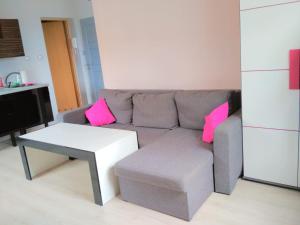 a living room with a gray couch and pink pillows at Apartament Puck in Puck