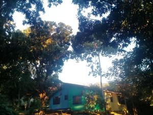 una casa azul en medio de árboles en Hostal Juan Lindo, en San Pedro Sula
