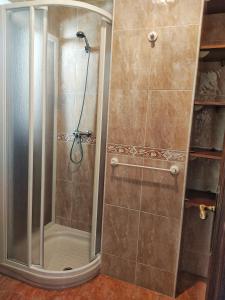 eine Dusche mit Glastür im Bad in der Unterkunft Pension a Fontiña in Cuntis