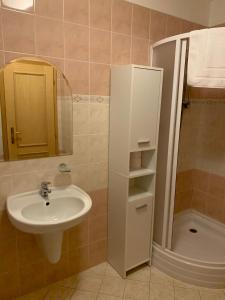 y baño con lavabo, espejo y ducha. en Lázeňský dům Florentini en Teplice