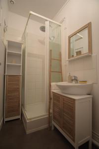 a bathroom with a sink and a shower at Cosy appartement Hyper centre ville avec cour + Patio in Auxerre +11 photos