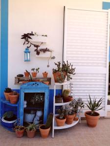 a group of potted plants on a patio at Endless Summer Surf House in Aljezur