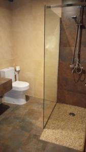 a bathroom with a toilet and a glass shower stall at Casa Rural Abuela Isabel in Guadalupe