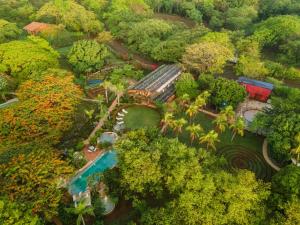 Latica Lodge 야외 정원