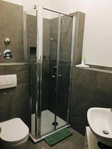 a bathroom with a shower with a toilet and a sink at Ferienwohnung Susanna in Friedrichshafen