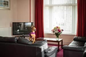 Ảnh trong thư viện ảnh của Aden House Bed And Breakfast ở Mintlaw