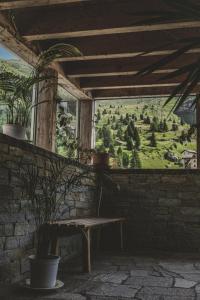 Zahrada ubytování Ferienwohnung Grischuna