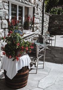 Fotografie z fotogalerie ubytování Ferienwohnung Grischuna v destinaci Bivio
