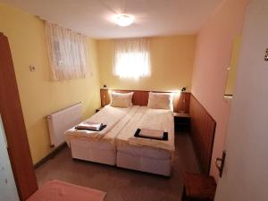 um pequeno quarto com uma cama e uma janela em Aleks Guest House em Samokov