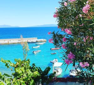 Paesaggio naturale nelle vicinanze del bed & breakfast