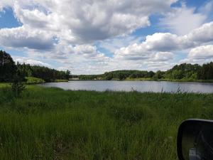 Fotografia z galérie ubytovania Wiktorówka v destinácii Torzym