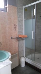 uma casa de banho com um chuveiro e um lavatório. em Le Nid D'Hirondelles em Donges