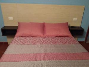 a bed with two pink pillows on top of it at Hostal Fisterra in Lugo