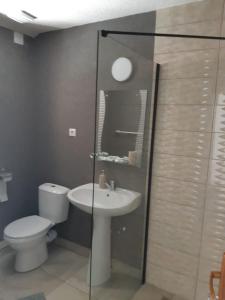 La salle de bains est pourvue de toilettes et d'un lavabo. dans l'établissement Pensiunea La Gagea, à Topliţa