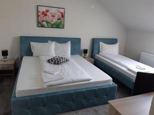 two beds in a room with two bedsitures at Pensiunea La Gagea in Topliţa