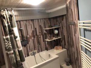 ein Bad mit einer Badewanne und einem Duschvorhang in der Unterkunft le petit champliman in Ornans