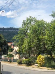 Blick auf einen Fluss mit Bäumen und ein Haus in der Unterkunft le petit champliman in Ornans