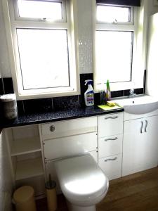 a bathroom with a toilet and a sink and two windows at Sheena's Dartmouth Chalets in Dartmouth