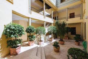 Vonkajšia záhrada v ubytovaní Cozy and well located apartment in the center of Seville