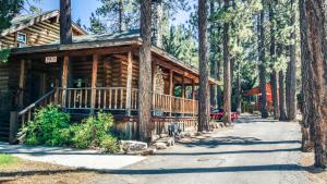 a log cabin in the woods with a driveway at Eagle's Nest in Big Bear Lake
