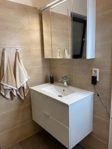 a bathroom with a white sink and a mirror at Ferienwohnung Birkenhof in Drolshagen