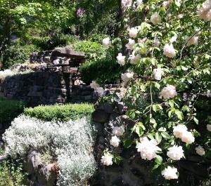 un jardín con flores blancas y una pared de piedra en La Grande Maison en Chanteuges